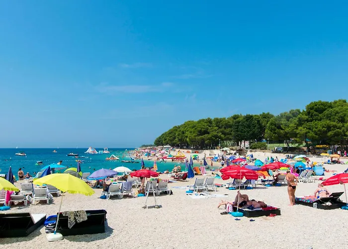 Dom wakacyjny House Goga *